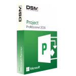 Microsoft Project 2016 Professional (1PC)