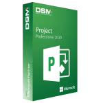 Microsoft Project 2019 Professional (1PC)