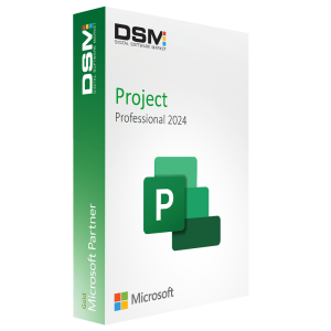 Project Professional 2024