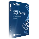 Microsoft SQL Server Enterprise 2014 (2 Core)