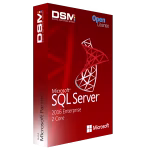 Microsoft SQL Server 2016 Enterprise (2 Core)