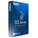 Microsoft SQL Server 2017 Enterprise (2 Core)