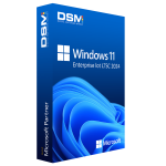 Windows 11 Enterprise loT LTSC (2024)