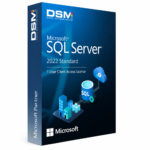 Microsoft SQL Server 2022 Standard – 1 User Client Access License (User CAL)