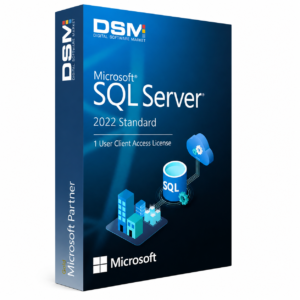 Microsoft SQL Server 2022 Standard – 1 User Client Access License (User CAL)